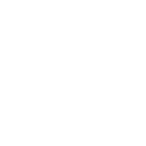 AnyDesk